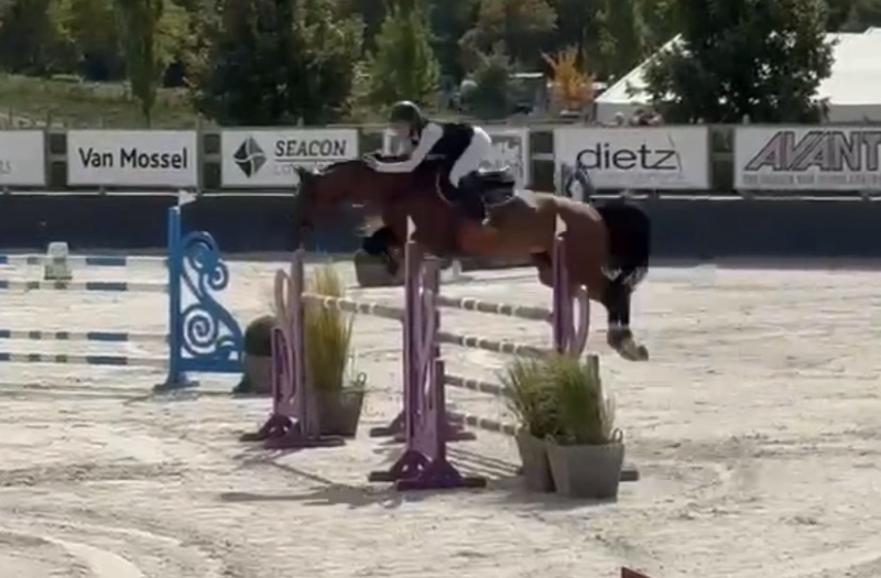 Contessa From Second Life Z