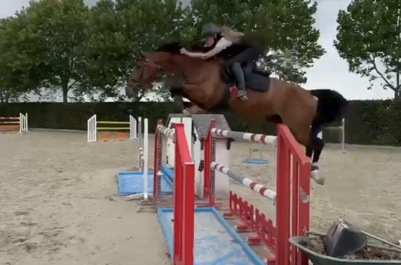 Contessa From Second Life Z