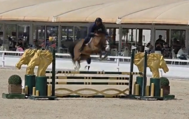 Elite From Second Life Z