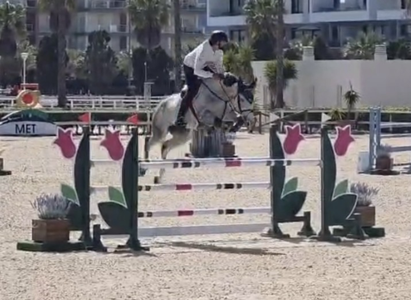 Pegasus From Second Life Z